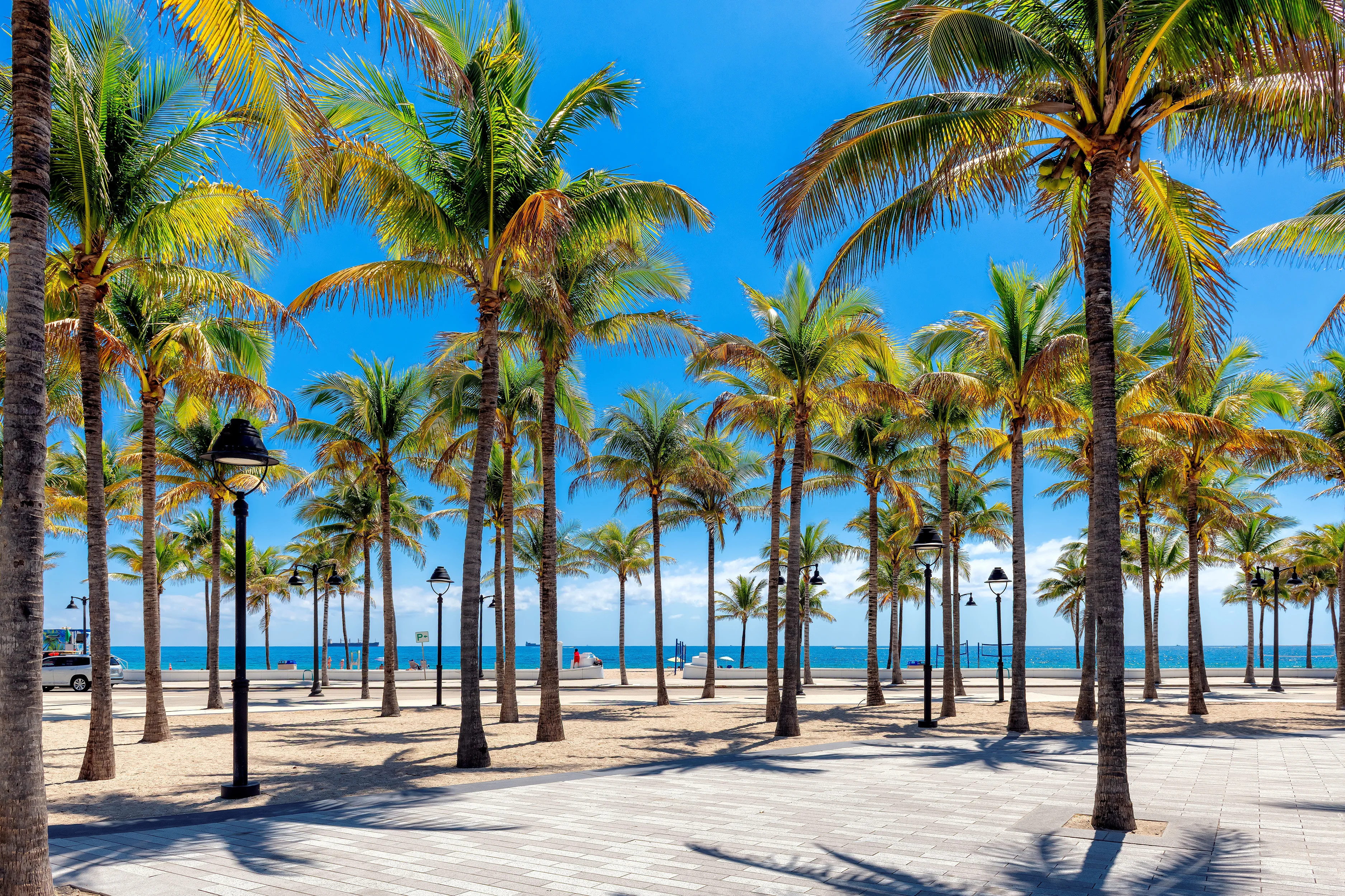 Beautiful palm trees on tropical Las Olas Oceanside Park in Fort Lauderdale beach, Florida