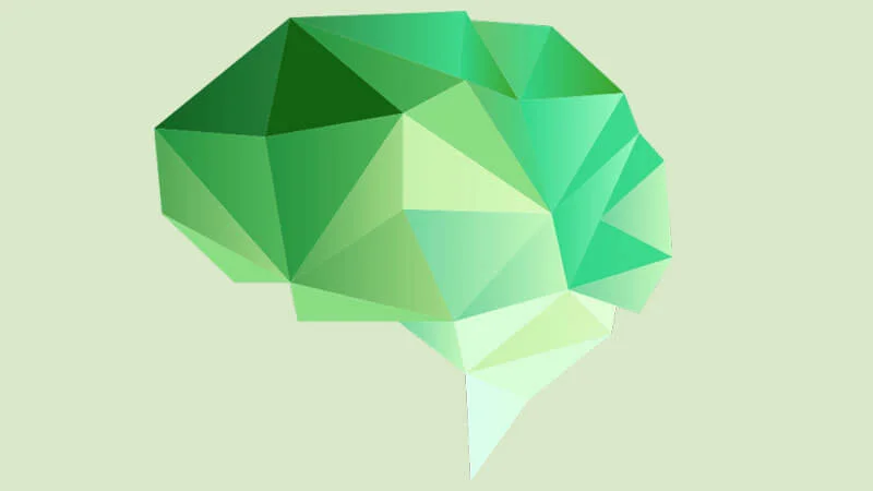 Web guide to healthy brain
